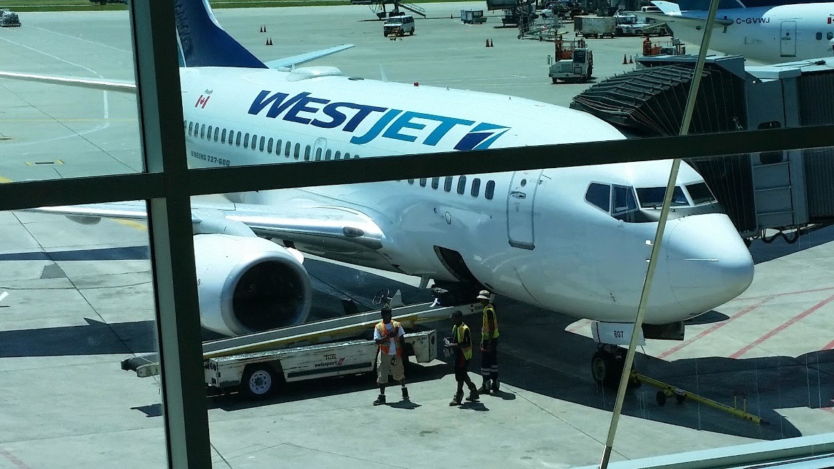 Name:  FB_IMG_1403460457239.jpg
Views: 25998
Size:  255.1 KB