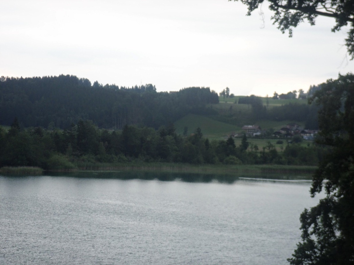 Name:  SAM_1157.JPG
Views: 18822
Size:  202.8 KB