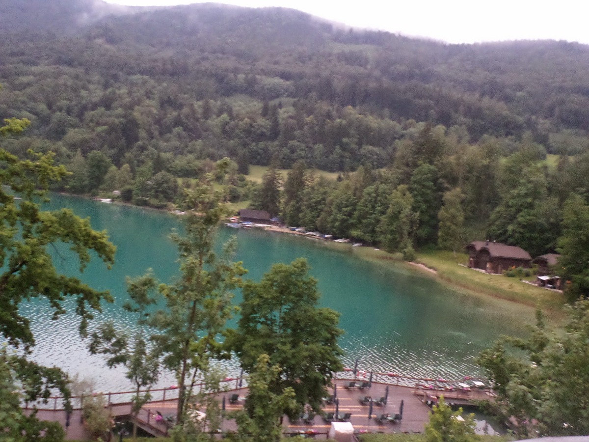 Name:  SAM_1214.JPG
Views: 18499
Size:  343.3 KB