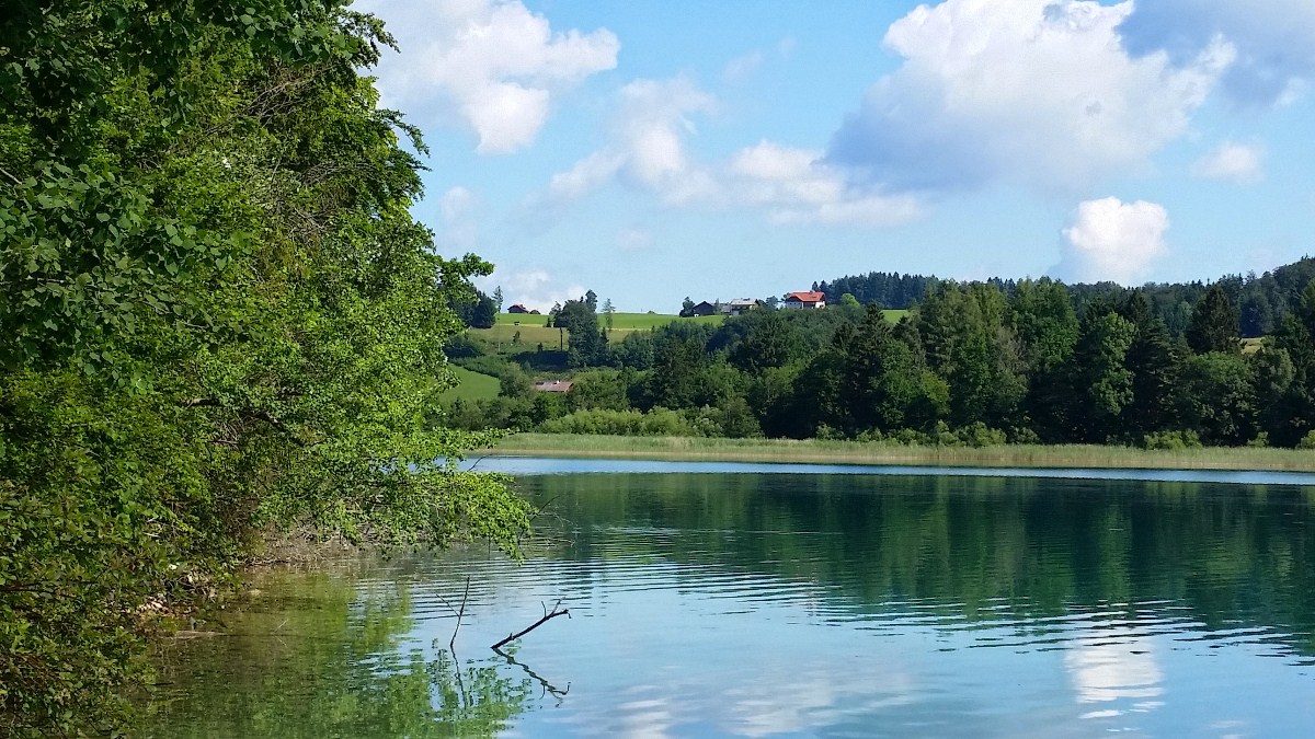 Name:  20140626_045932.jpg
Views: 18382
Size:  299.1 KB