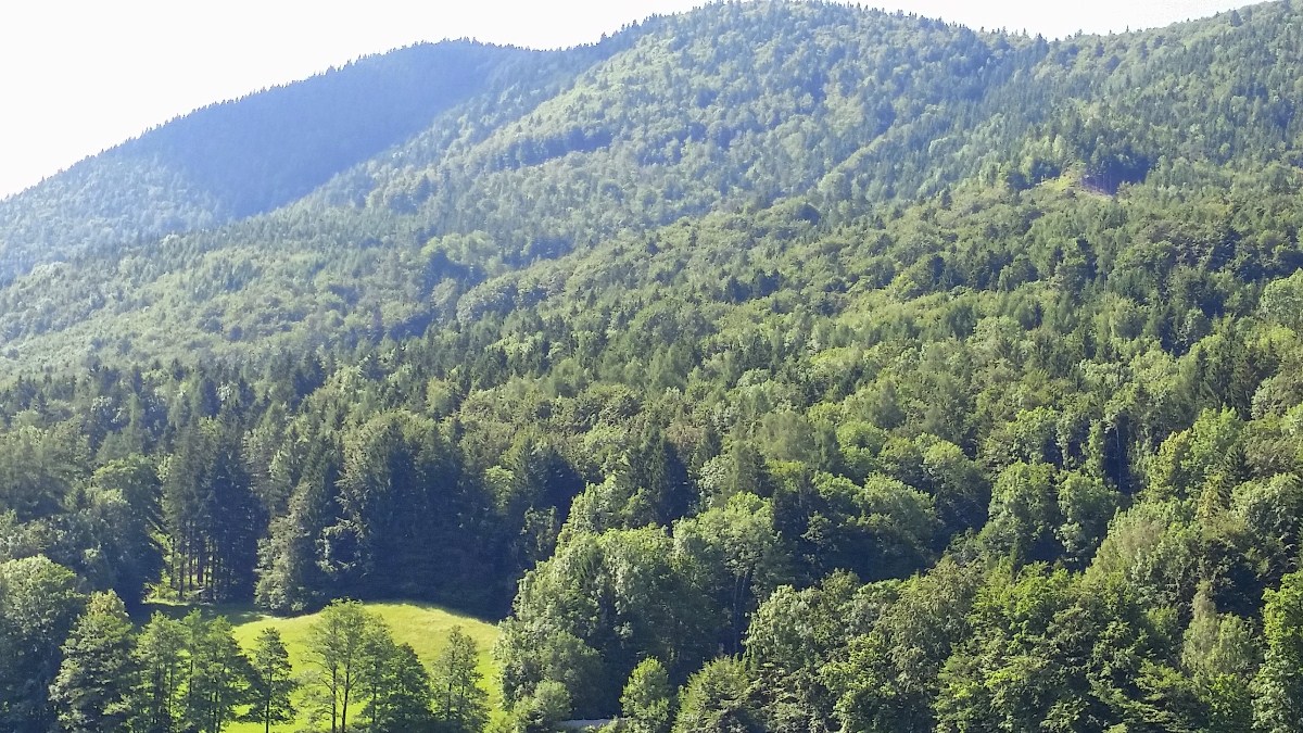 Name:  20140626_045949.jpg
Views: 18285
Size:  349.8 KB