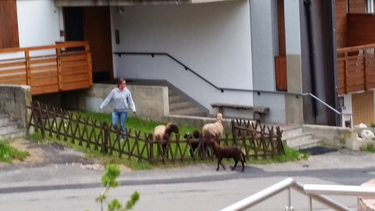 Name:  20140626_151406.jpg
Views: 17853
Size:  147.5 KB