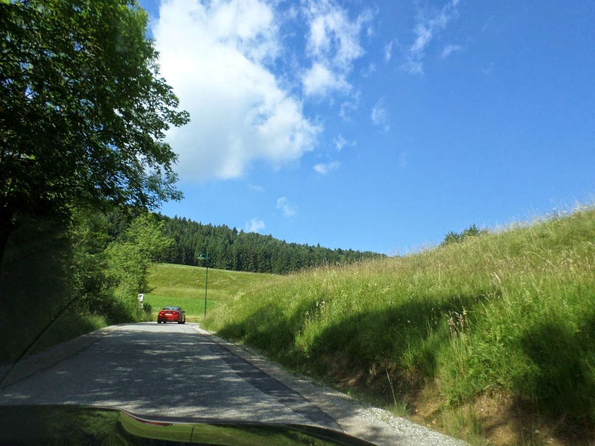 Name:  SAM_1328.JPG
Views: 17927
Size:  337.6 KB