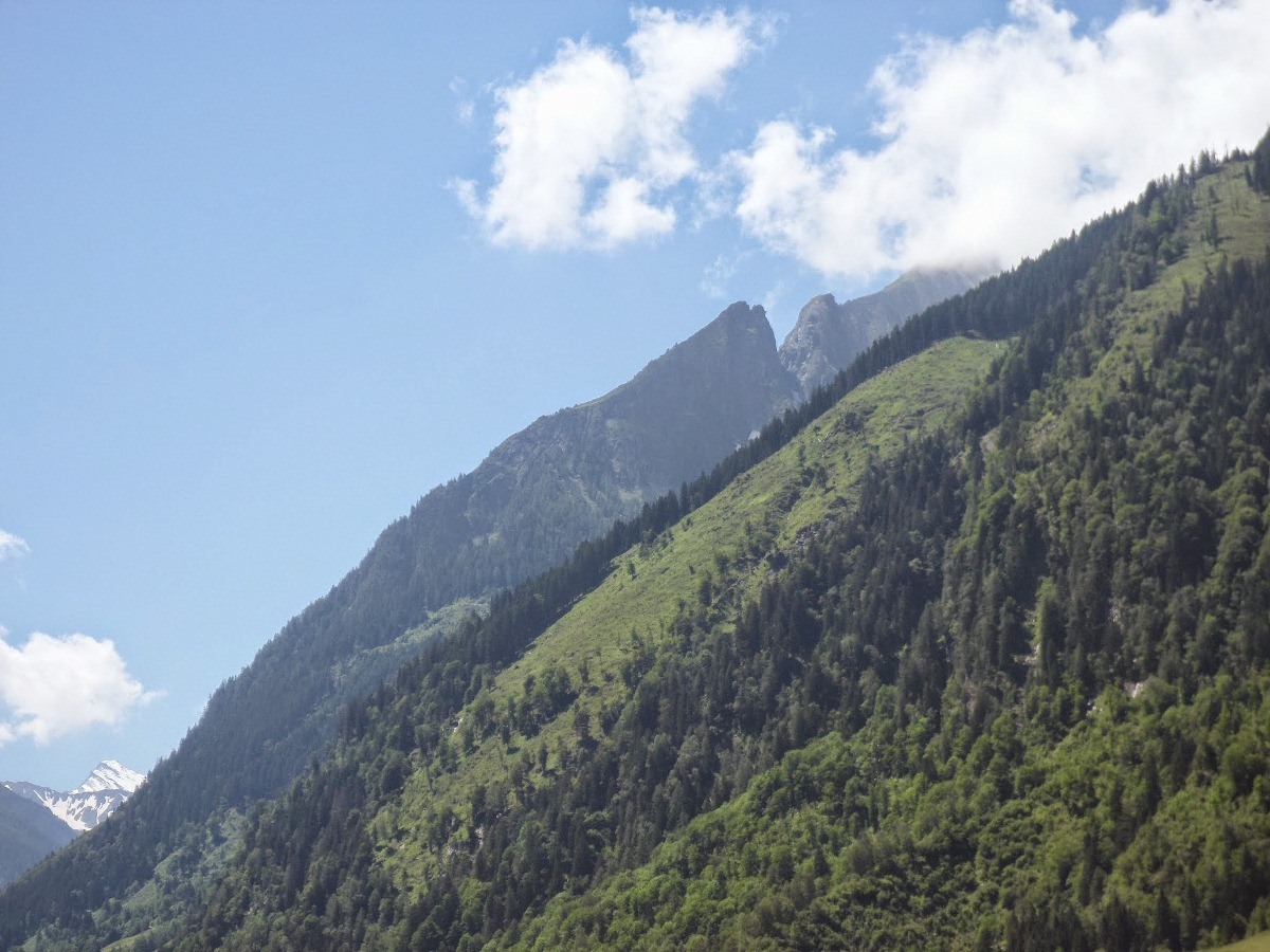 Name:  SAM_1387.JPG
Views: 17709
Size:  260.1 KB