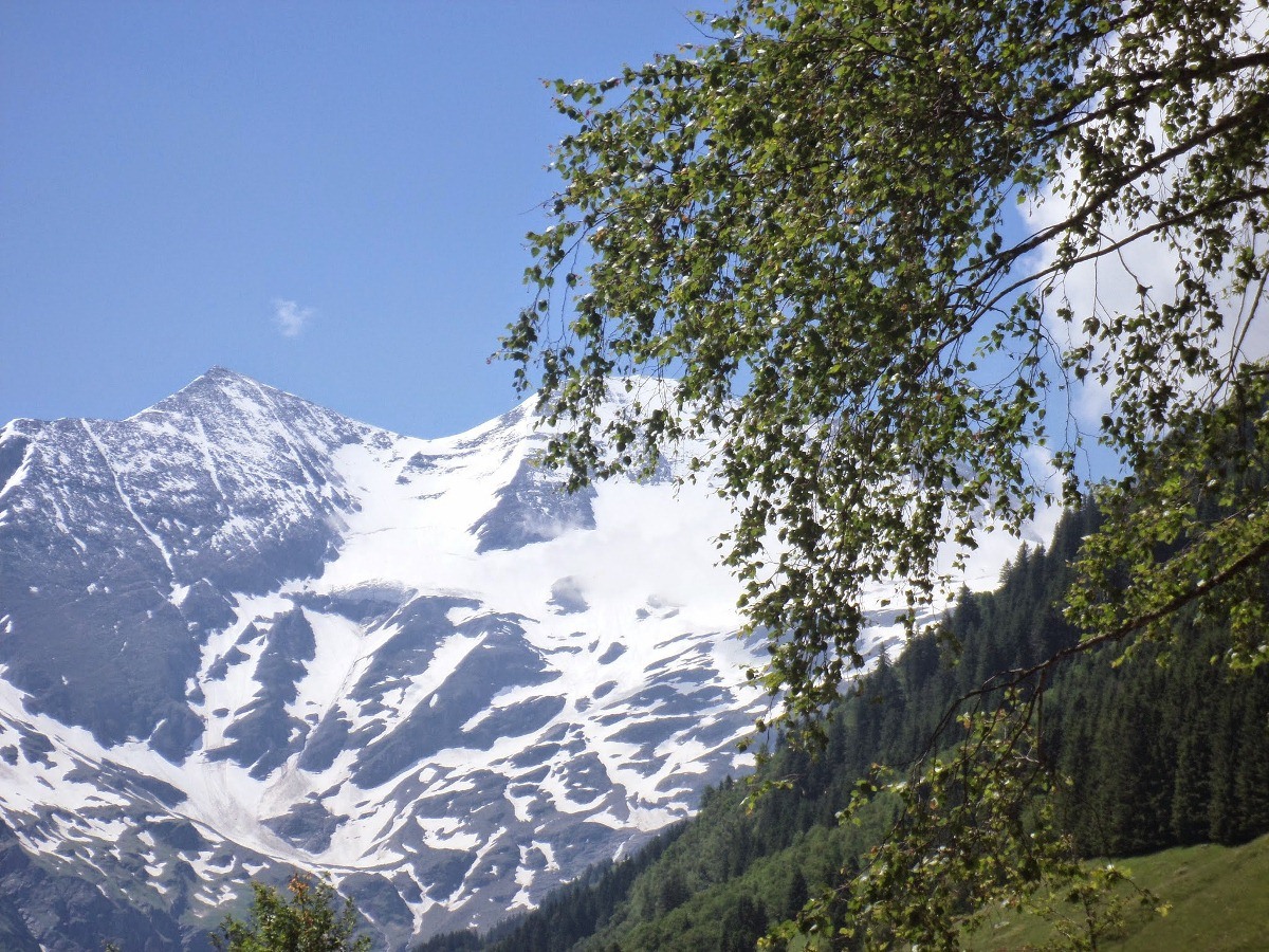 Name:  SAM_1392.JPG
Views: 17638
Size:  449.6 KB