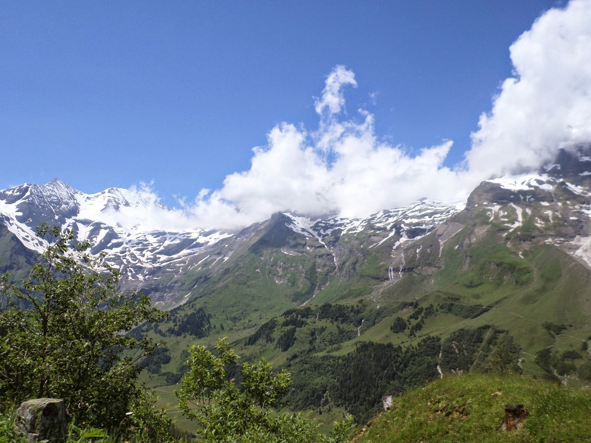 Name:  SAM_1411.JPG
Views: 17588
Size:  330.3 KB