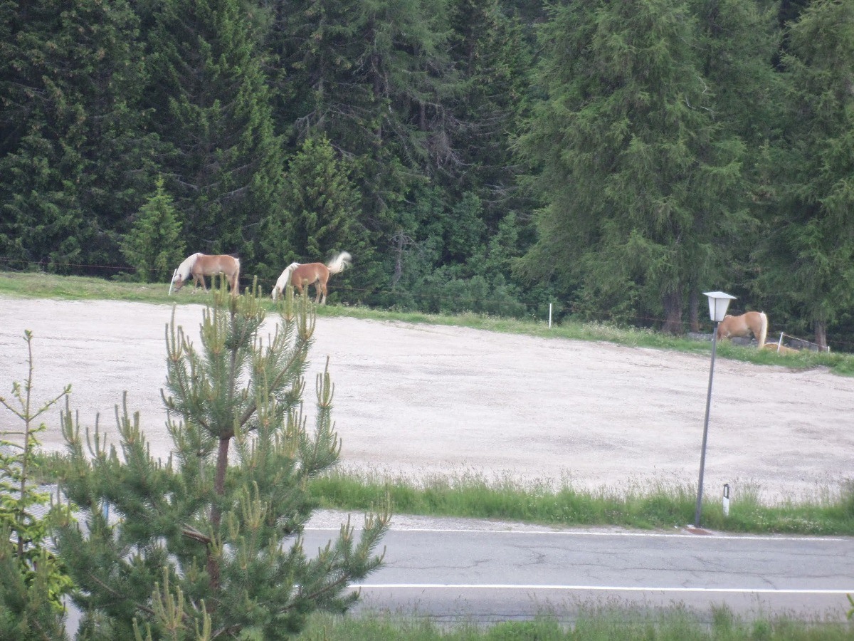 Name:  SAM_1606.JPG
Views: 17111
Size:  370.6 KB