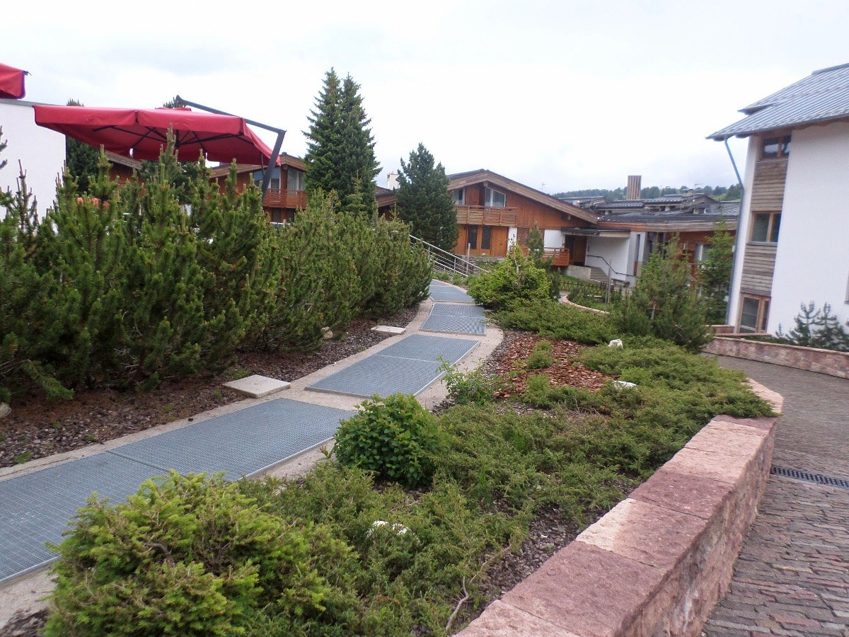 Name:  SAM_1620.JPG
Views: 17106
Size:  380.2 KB