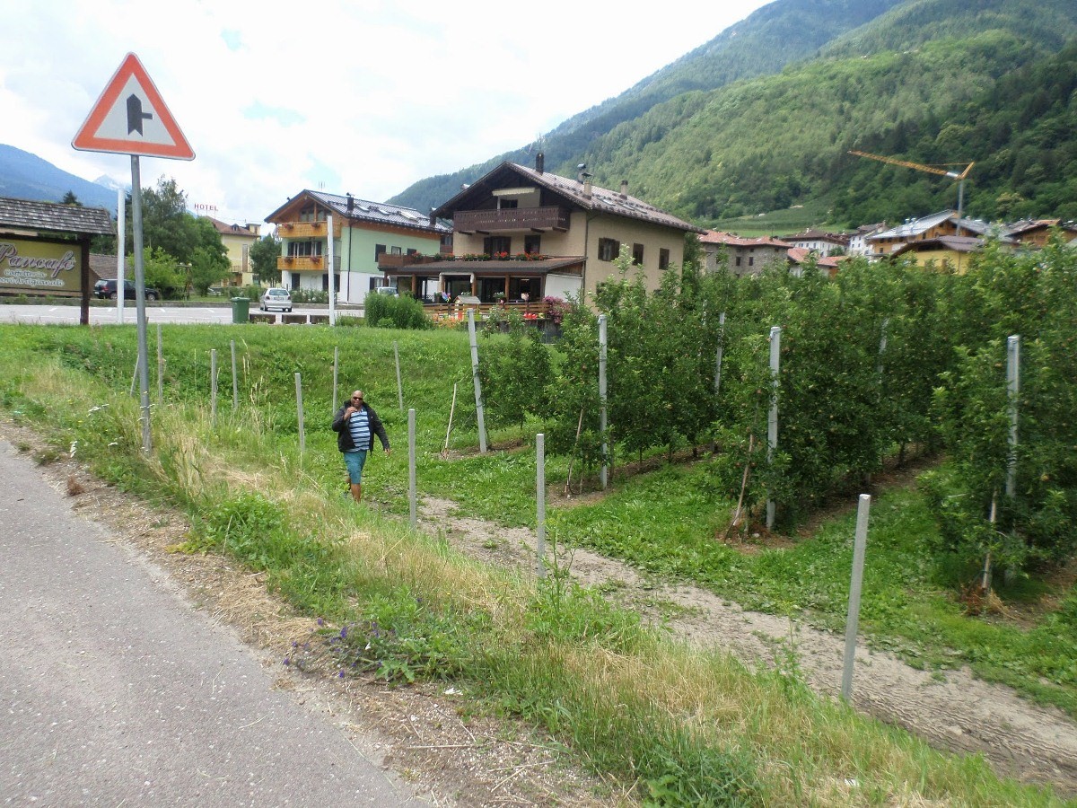 Name:  SAM_1688.JPG
Views: 16673
Size:  429.6 KB