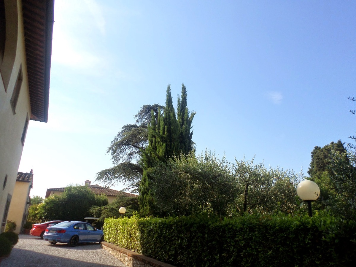 Name:  SAM_1883.JPG
Views: 1857
Size:  289.4 KB