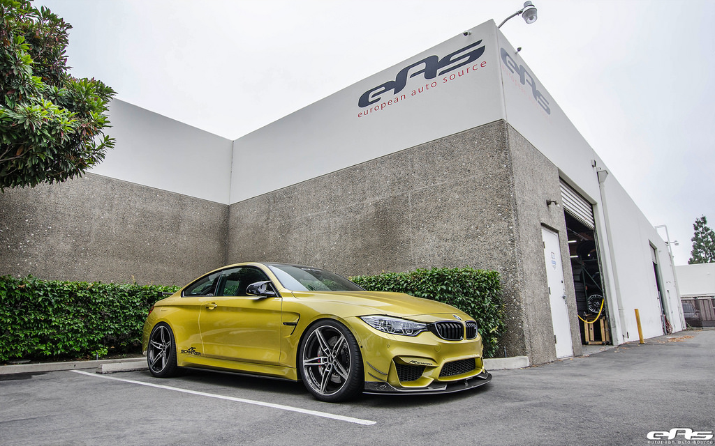 Name:  schnitzer-m4-eas-2.jpg
Views: 12360
Size:  304.9 KB