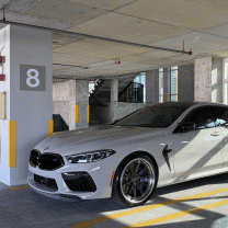 F06msportmia's Avatar